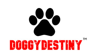 DoggyDestiny