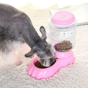 Automatic Food Dispenser