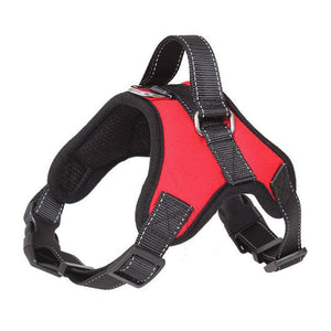 Heavy Duty Dog Harness
