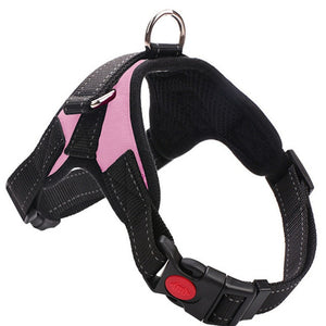 Heavy Duty Dog Harness