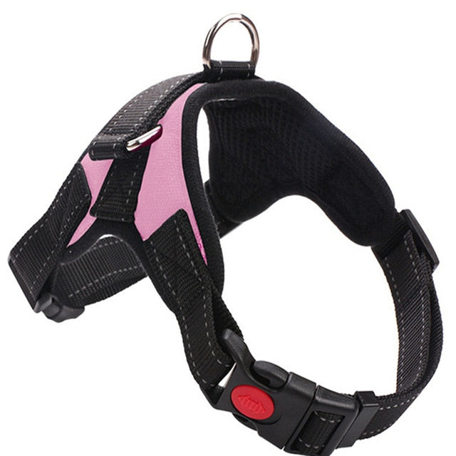 Heavy Duty Dog Harness