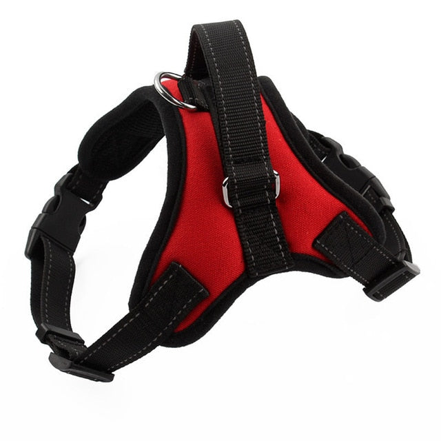 Heavy Duty Dog Harness