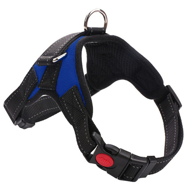 Heavy Duty Dog Harness