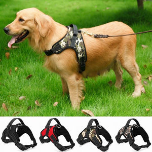 Heavy Duty Dog Harness