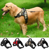 Heavy Duty Dog Harness