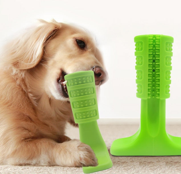 Dog Chew Toy