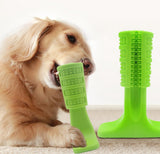 Dog Chew Toy